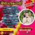 Profile picture of marriage proposal b 114