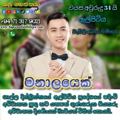 Profile picture of proposal elpitiya b 27