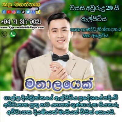 Profile picture of proposal elpitiya b 29